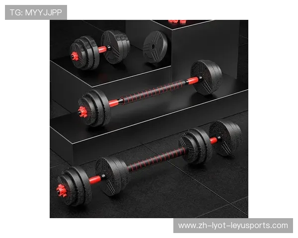 宁波健身器材哑铃球产品特色与价格行情